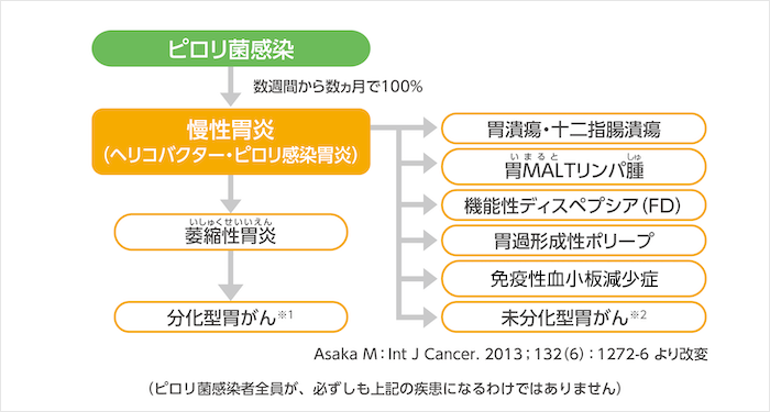 参考 胃がん ピロリ菌と病気 ピロリ菌のお話 Jp